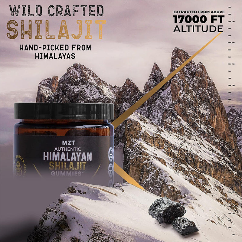 High Potency Himalayan Shilajit Gummies - 100% Pure Gold Grade | 30 Honey-Flavored Gummies for Energy & Immune Support | 75%+ Fulvic Acid | Travel-Friendly