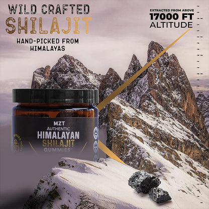 High Potency Himalayan Shilajit Gummies - 100% Pure Gold Grade | 30 Honey-Flavored Gummies for Energy & Immune Support | 75%+ Fulvic Acid | Travel-Friendly